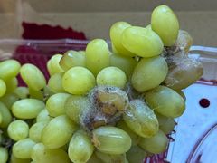 -永辉超市(嘉定宝龙广场店)