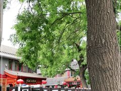 -北京市鼓楼中医医院(北院区)
