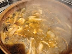 菌菇鸡煲-阿山卓·野生菌火锅·纳西火塘烤肉