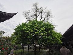 -常熟方塔园