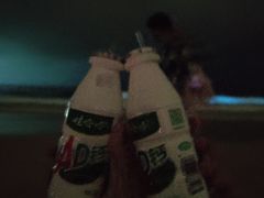 -西涌国际滨海旅游区