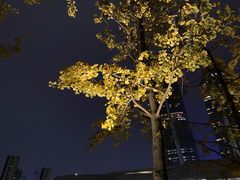 -南京眼步行桥