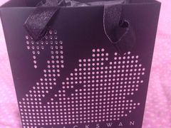 -BLACKSWAN黑天鹅(环球店)