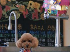 -小意思咖啡店(草桥店)