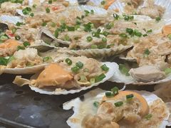 大扇贝-帝企鹅自助餐厅•儿童岛•真企鹅(长隆企鹅酒店)