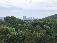 -西湖风景区-江洋畈生态公园