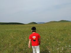 -乌兰布统草原