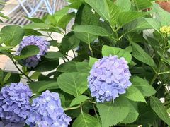 -Beans Solo豆号咖啡(百家湖花园店)