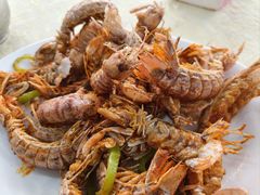椒盐濑尿虾-秋姐美食店(保利店)