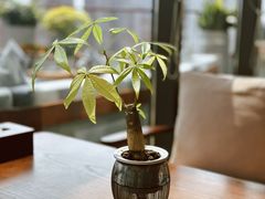 -浅深Cheersum(曹杨店)