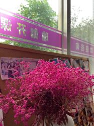 -皇冠瑜伽·普拉提·疼痛康复