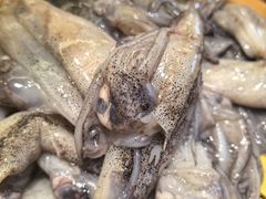 -龍歌自助小火锅(市南金茂湾店)