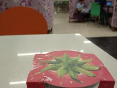 -乐纯(苹果社区店)