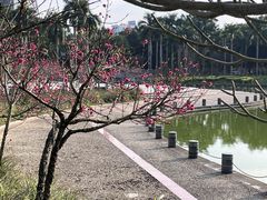 -南宁南湖公园