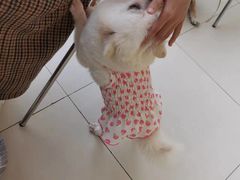 -怪兽屋·羊驼·猫咖·狗咖(俊华广场店)