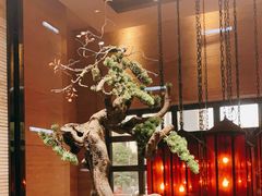 -南堂館川菜文化餐厅(天府店)