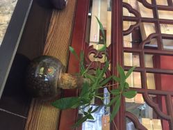 雅曼妮养生会馆(黄浦店)-雅曼妮