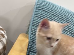 -佳雯宠物医院·皮肤科·内外科(春晓路分院)