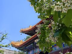 -恭王府博物馆