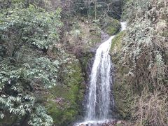 -西岭雪山大飞水景区