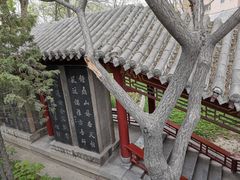 -碑林公园