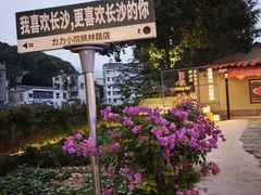 -湘力力小院·鱼汤泡饭(枫林路店)