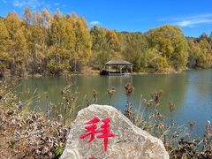 -洮儿河国家湿地公园