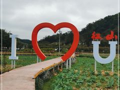 -红山村