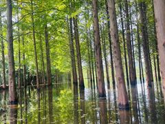 -天目湖涵田半山温泉