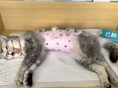 -美迦爱-牙专科·兔科·骨科诊疗中心(北苑店)