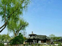 -盆景园(扬州大运河文化旅游度假区)