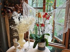-Jo's Garden