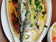 -聂记粤菜馆(鼓西路店)