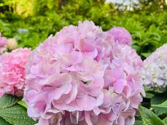 -常州古运河南大街文化旅游区-人民公园