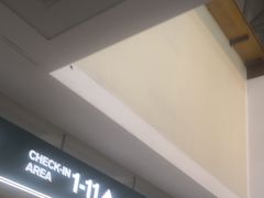 -米兰马尔彭萨国际机场