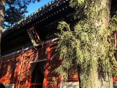 -潭柘寺景区