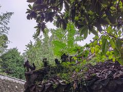 -南阳卧龙岗武侯祠