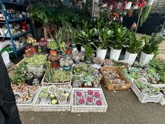 -玉泉综合市场(天山北路店)