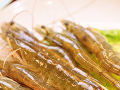 -御膳粥·牛乳粥底火锅·地道顺德菜(容桂店)