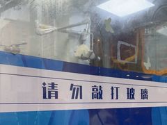 -芭比堂动物医院·心脏专科·夜诊·吉雅分院