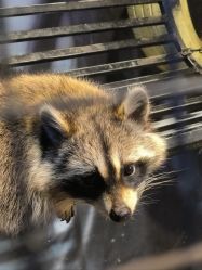 -酷嗒动物文化乐园(cutezoo西溪乐天城店)