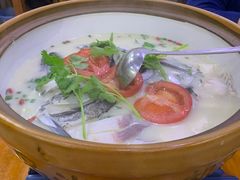 -全乐鱼馆·淳牌有机鱼直营店