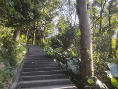 -火炉山森林公园