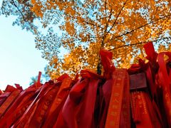-红螺寺