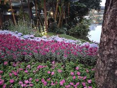 -荔湾湖公园