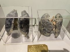 -陕西自然博物馆