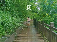 -三江森林温泉度假区