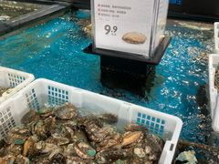 鲜活鲍鱼-盒马鲜生(曜一城店)