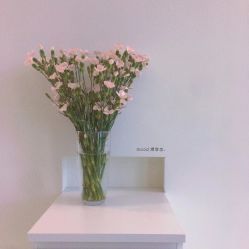 点击看大图 -mood理容店