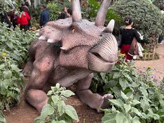 -沈阳植物园